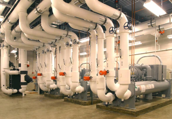 One of the leading and rabidly growing